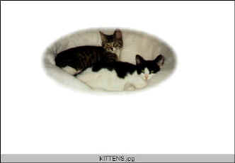 wpe2.jpg (10428 bytes)